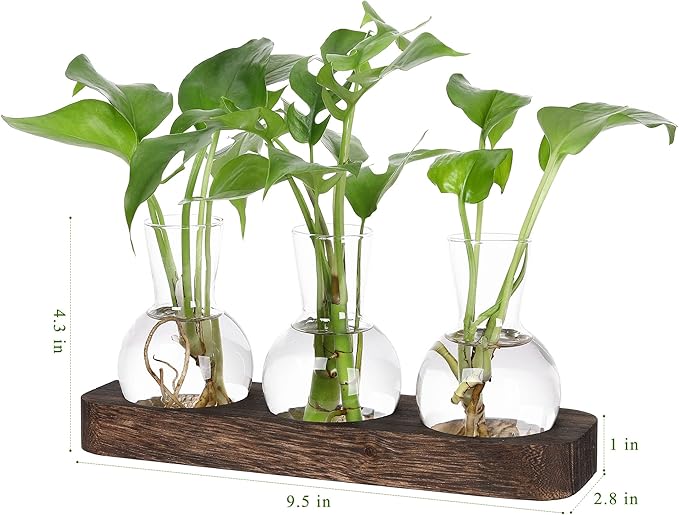 YIBOT Propagation Stations, Plant Propagation Vase, Desk Plant Terrarium - Image 3