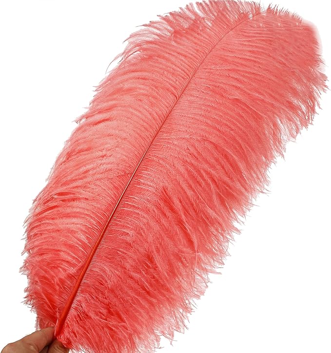 Larryhot Red Large Ostrich Feathers - Image 2