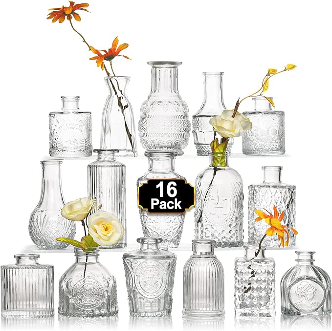 Arme 16Pcs Glass Bud Vase Set，Small Flower Vase by Arme