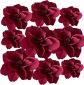 BRT Bearingshui Crepe Paper Flowers Decoration by BRT+Bearingshui