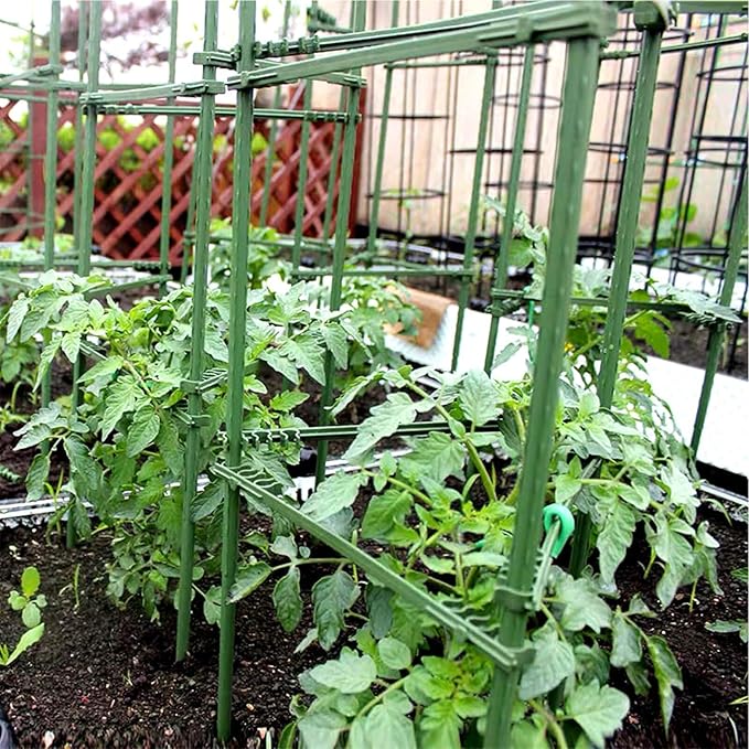 Orgrimmar Tomato Cages Garden Plant Support Stakes Outdoor Vegetable Trellis - Image 8