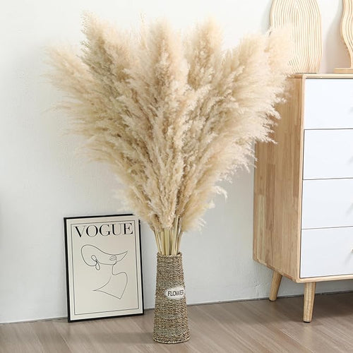 10 Stems 46 inch Tall Pampas Grass Decor by Wertuirk