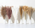 135Pcs Dried Pampas Grass Decor, Boho Home Decor, Mini Bunny Tails Dried Flowers by Wertuirk