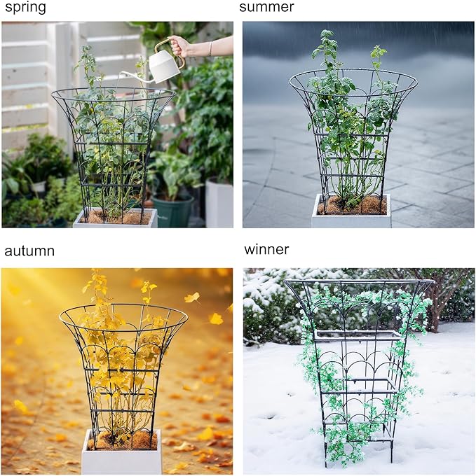 COOOXIM Peony Cages & Supports - Image 7