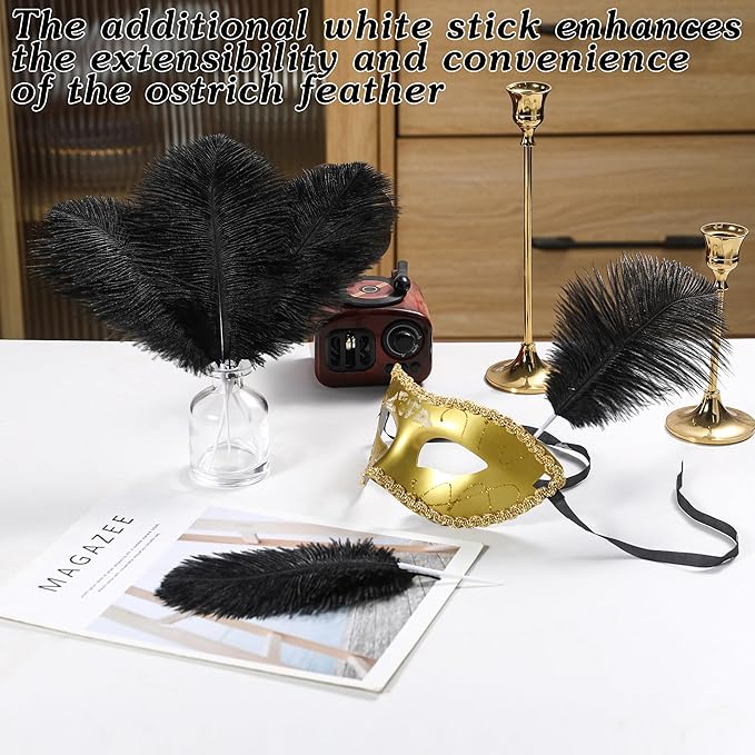 SOGUGOM Black Craft Ostrich Feathers - Image 5