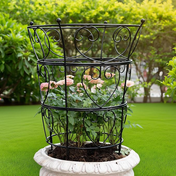 Large Obelisk Trellis Peony Cage 24.6x17 Inches - Image 8