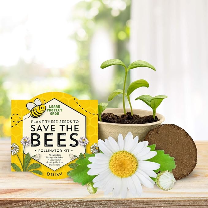 Buzzy Seeds Save The Bees Biodegradable Grow Kit | Herb, Flower Starter Kit - Image 8