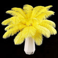 THARAHT Yellow Ostrich Feathers 24pcs Natural Bulk 8-10Inch 20cm-25cm by THARAHT