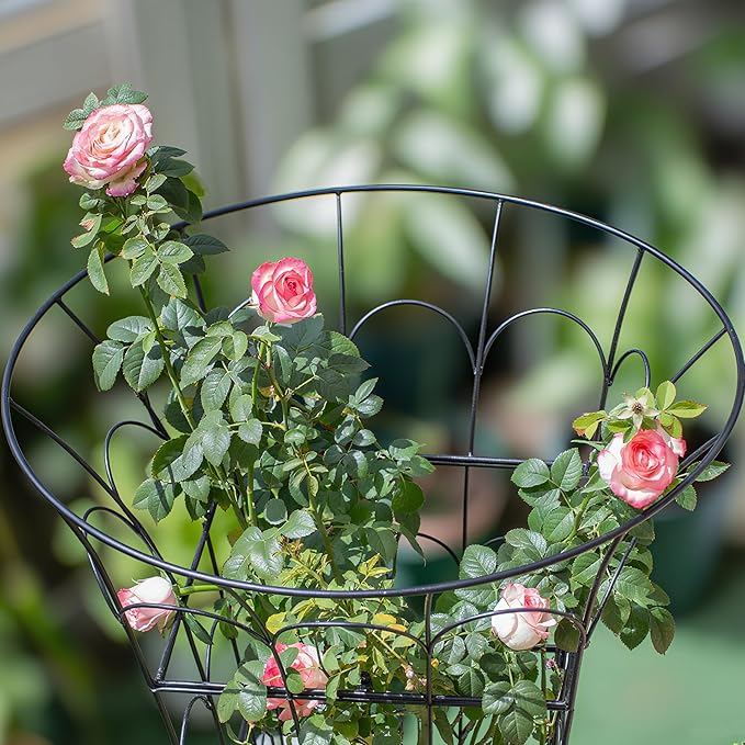 COOOXIM Peony Cages & Supports - Image 5