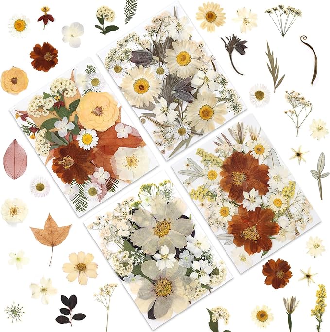 100P Vintage White Dried Flowers by LUXEEASE