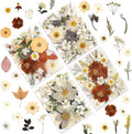 100P Vintage White Dried Flowers by LUXEEASE