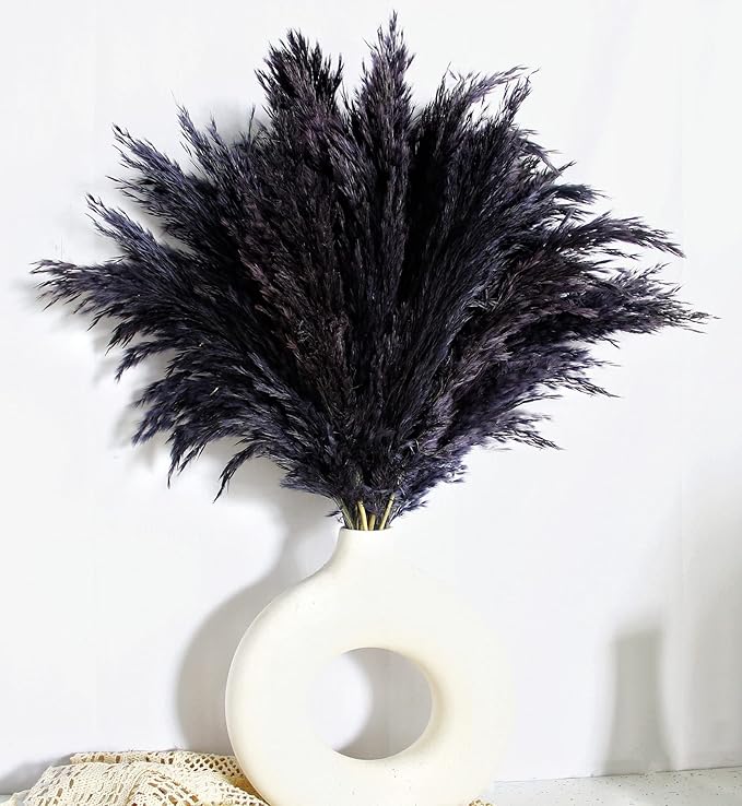 Black Pampas Grass for Home Decor by Unknown