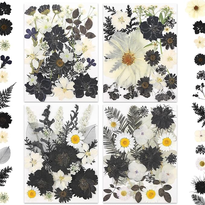 90P Black & White Dried Flowers - Image 4