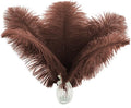 Ballinger Brown Ostrich Feathers Bulk by Ballinger