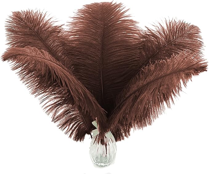 Ballinger Brown Big Ostrich Feathers by Ballinger