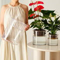 3 Acrylic Cylinder Clear Vase, Extra Large Unbreakable Plastic Flower Vases by Unknown