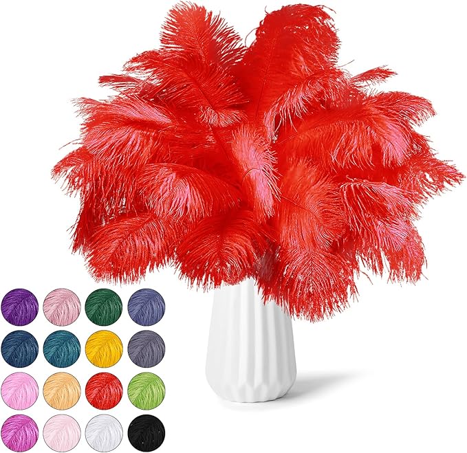 NEWONG 30pcs Red Ostrich Feathers Natural Bulk 9-12inch Vase Craft Wedding Home by NEWONG