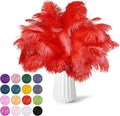 NEWONG 30pcs red Ostrich Feathers Natural Bulk 8-10inch Vase Craft Wedding Home by NEWONG