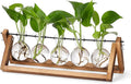 YIBOT Propagation Stations, Plant Terrarium by YIBOT