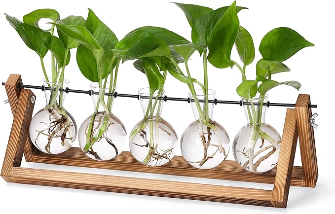 YIBOT Propagation Stations, Plant Terrarium by YIBOT