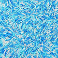 Blue and White Jimmies Sprinkles by cobakey-DessertDecorations