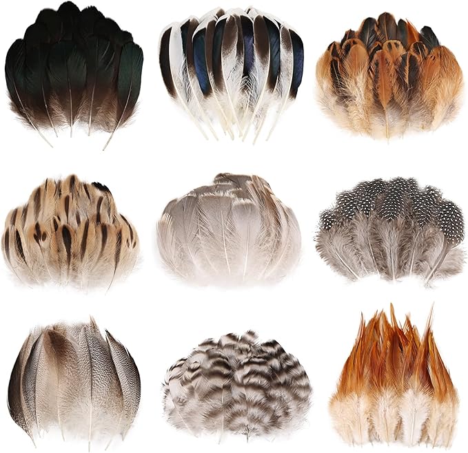 MAOFENG 270pcs 9 Styles Natural Bulk Feathers Assorted Mixed Feathers by MAOFENGFEATHER