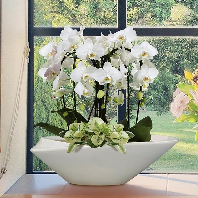 18 Inch Ceramic Bonsai Planter Pot - Image 3