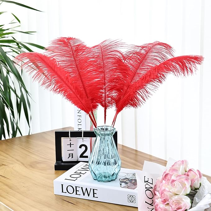 Bulk Red Ostrich Feathers - Image 7