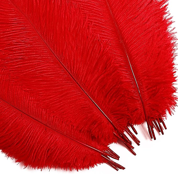 Bulk Red Ostrich Feathers - Image 6