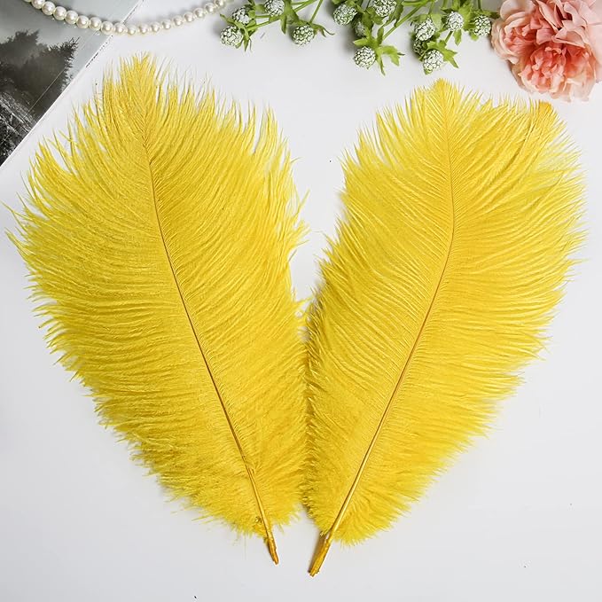 THARAHT Yellow Ostrich Feathers 24pcs Natural Bulk 10-12Inch 25cm-30cm - Image 5