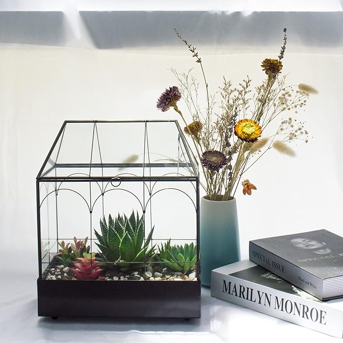 Large Tall Glass Plant Terrarium – House Succulent Terrarium Kit - Image 7