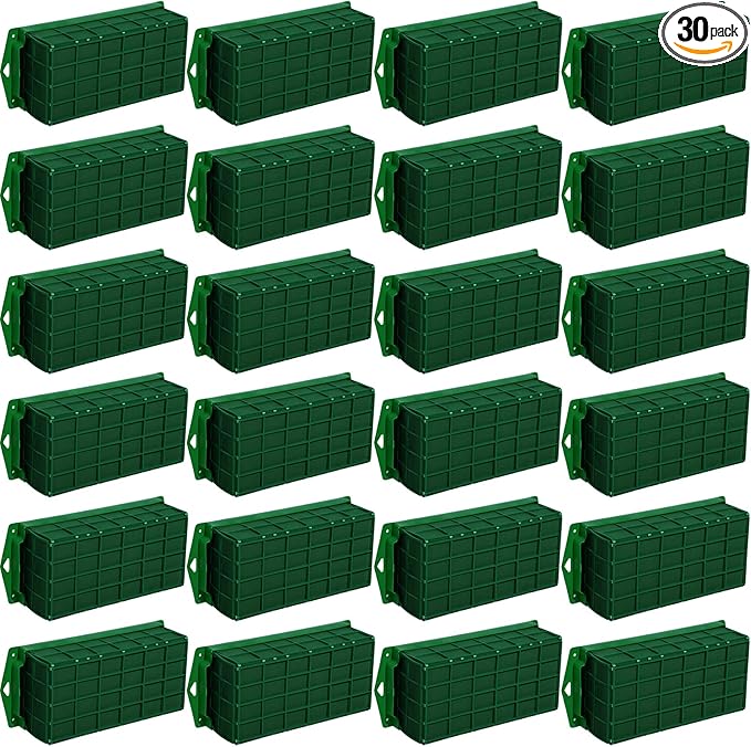Boao 30 Pieces Floral Foam Cage Holder by Boao
