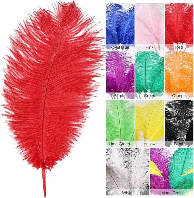 Bulk Red Ostrich Feathers - Image 2