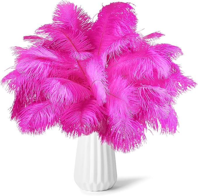 NEWONG 30pcs Fuchsia Ostrich Feathers Natural Bulk 11-14inch Vase Craft Wedding by NEWONG