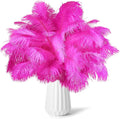 NEWONG 30pcs Hot Pink Ostrich Feathers Natural Bulk 9-12inch Vase Craft Wedding by NEWONG