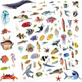 Ocean Animals Stickers 820 Count Sea Animal Fish Shark Stickers Party Favors by Unknown