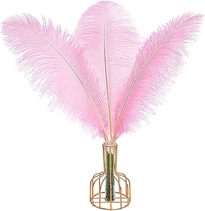 THARAHT 12PCS Ostrich Feathers Natural Bulk 16-18Inch by THARAHT