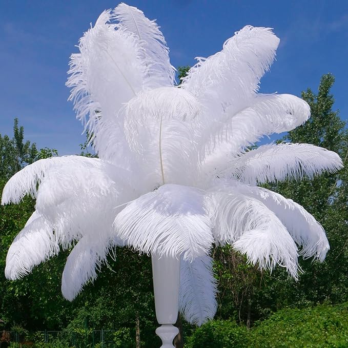 Retrowavy 30 Pcs 18-20 Inch Large Natural Ostrich Feathers Bulk - Image 7