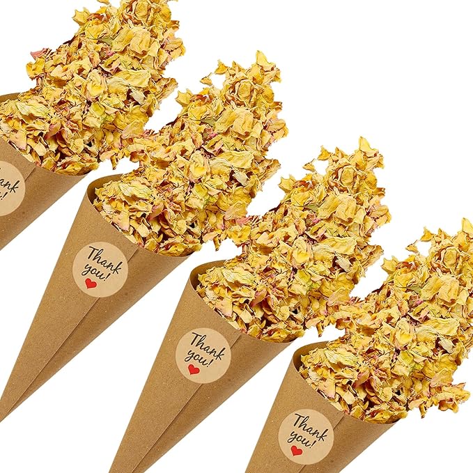 PATIKIL Dried Flower Confetti Cones, Light Yellow/Pink by PATIKIL