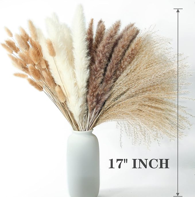 300 PCS Dried Flower Bouquet – Pampas Grass, Floral Decor - Image 3