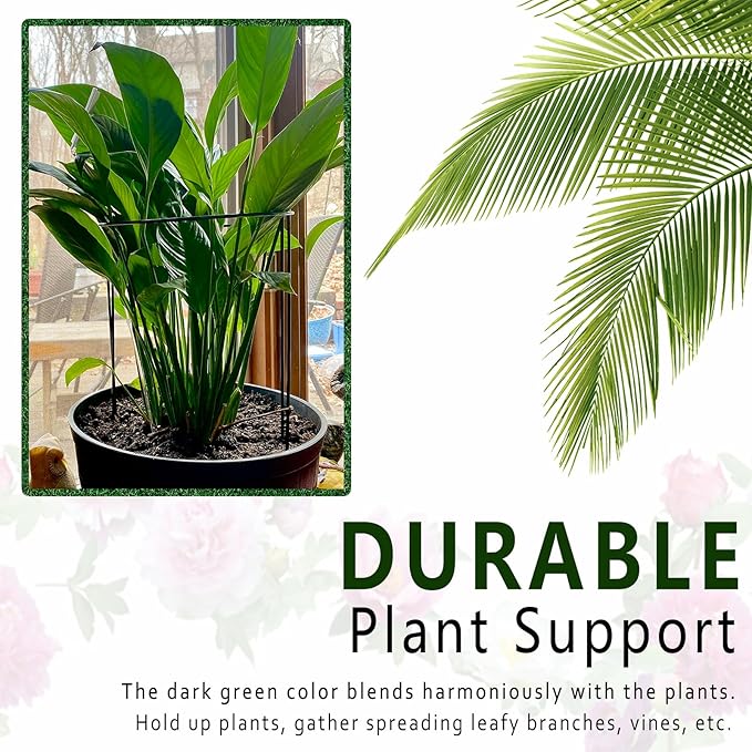 6 Pack Plant Support Stakes, Metal Monstera Plant Support Stakes - Image 4
