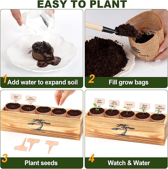 5 Pack Bonsai Tree Kit - Image 5