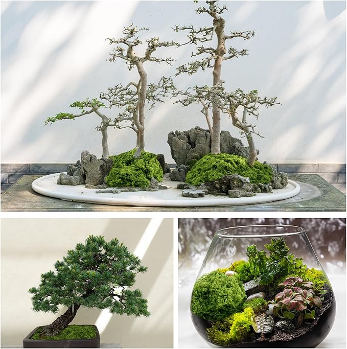 Fake Green Moss for Plants Indoor, 5.3OZ Artificial Moss for Potted Plants Decor - Image 3