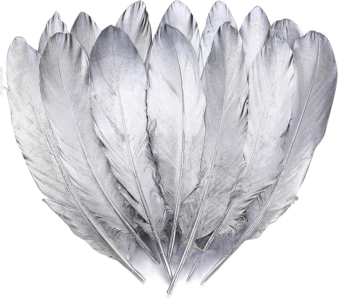 Larryhot Silver Goose Feathers for Crafts by Larryhot