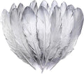 Larryhot Silver Goose Feathers for Crafts by Larryhot
