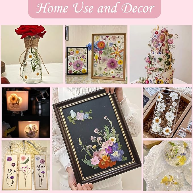 80 Pcs Dried Pressed Flowers for Crafts, Real Natural Dried Pressed Flowers in - Image 5