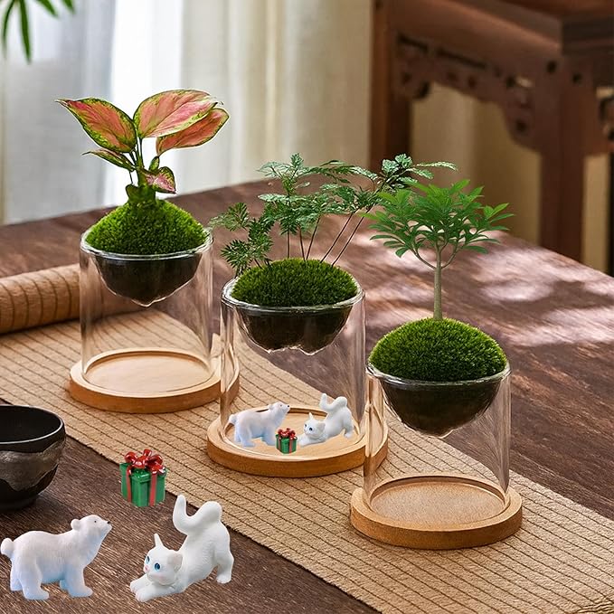 4 in 1 Plant Propagation Station Hydroponic Vase Planter Pot, Indoor Glass - Image 4