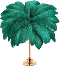 Retrowavy 30 Pcs 18-20 Inch Large Natural Ostrich Feathers Bulk by Retrowavy