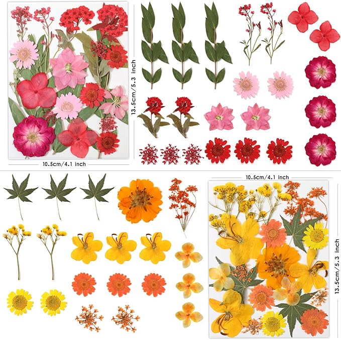 80 Pcs Dried Flowers for Crafts, Real Natural Dried Pressed Flowers in Vibrant - Image 2
