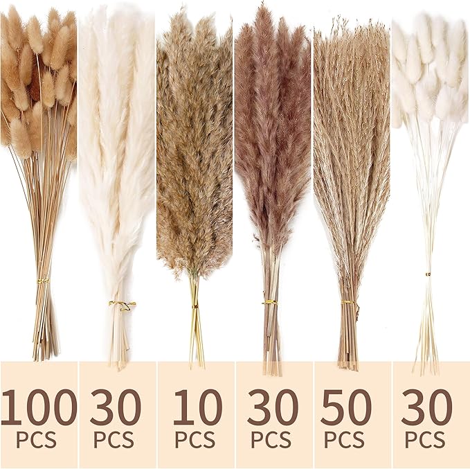 240 PCS Dried Flower Bouquet – Pampas Grass, Floral Decor - Image 2